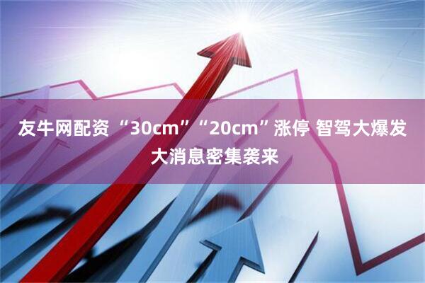 友牛网配资 “30cm”“20cm”涨停 智驾大爆发 大消息密集袭来
