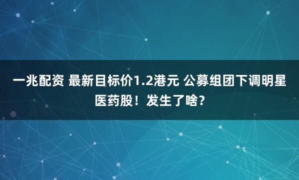 一兆配资 最新目标价1.2港元 公募组团下调明星医药股！发生了啥？